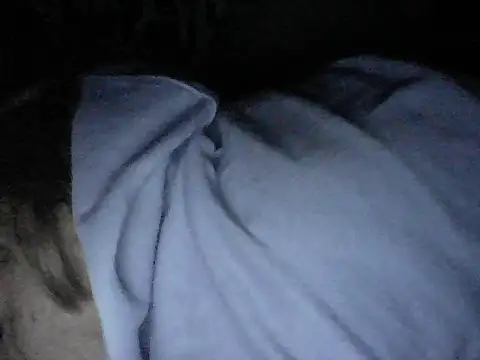 Twoslipperywhenwett online show from 17, 11, 2025