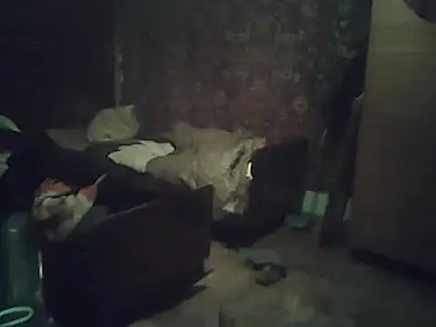 Snapshot of A1B3- chatting on 2, 2, 2026 A1B3- online show from 2, 2, 2026