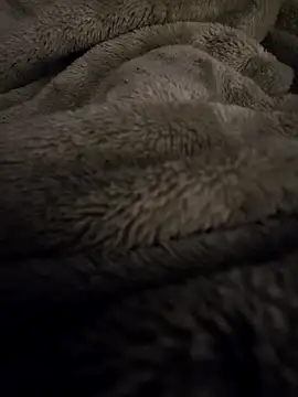 Snapshot of Gayboy23200 chatting on 11, 3, 2026 Gayboy23200 online show from 11, 3, 2026