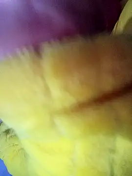 Hnonasix89 online show from 1, 12, 2025