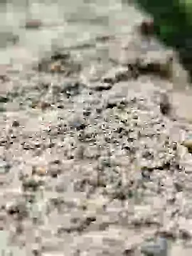 Snapshot of Girls_pussy_rider chatting on 14, 9, 2025 Girls pussy rider online show from 14, 9, 2025