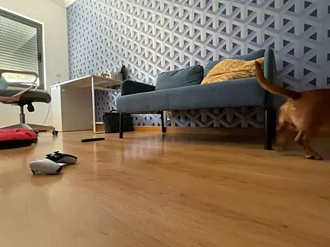 Snapshot of cumman789860 chatting on 2, 10, 2025 cumman789860 online show from 2, 10, 2025