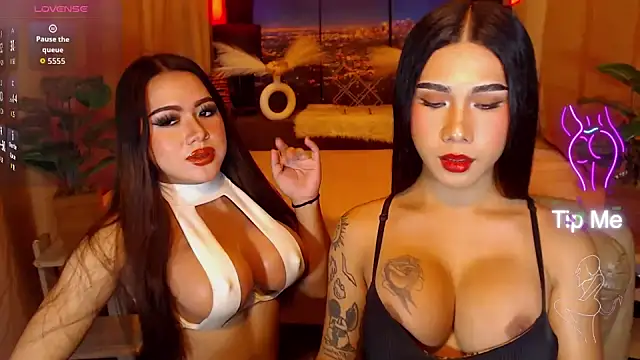 TRANSPORNIDOL online show from 21, 7, 2026