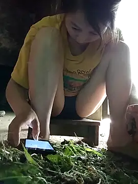 spsale online show from 12, 4, 2026