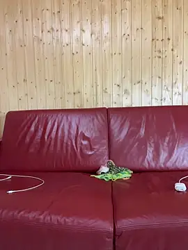 Snapshot of FoxStudioSex chatting on 22, 10, 2025 FoxStudioSex online show from 22, 10, 2025