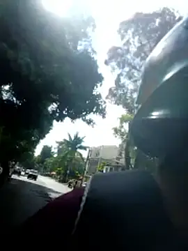 Fernandar2025 online show from 27, 5, 2026
