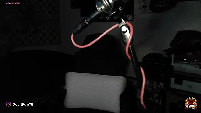 Snapshot of DevilPup75_ chatting on 18, 1, 2026 DevilPup75 online show from 18, 1, 2026