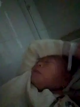 VangLe73 online show from 22, 12, 2025