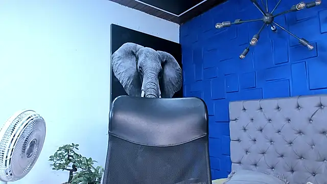 Snapshot of andres-clark92 chatting on 26, 10, 2025 andres-clark92 online show from 26, 10, 2025