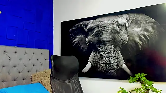 andres-clark92 online show from 2, 3, 2026