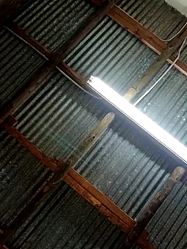 Snapshot of Fizozoo chatting on 21, 9, 2025 Fizozoo online show from 21, 9, 2025