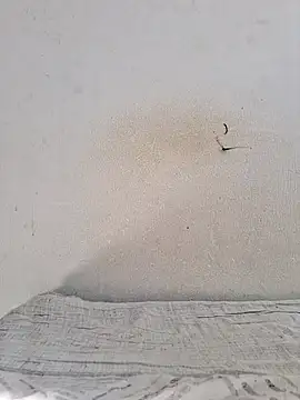 jujuhpimenta online show from 12, 11, 2025