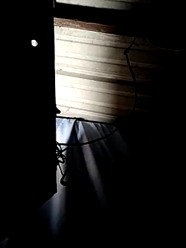 ShawnandDani7074 online show from 14, 4, 2026