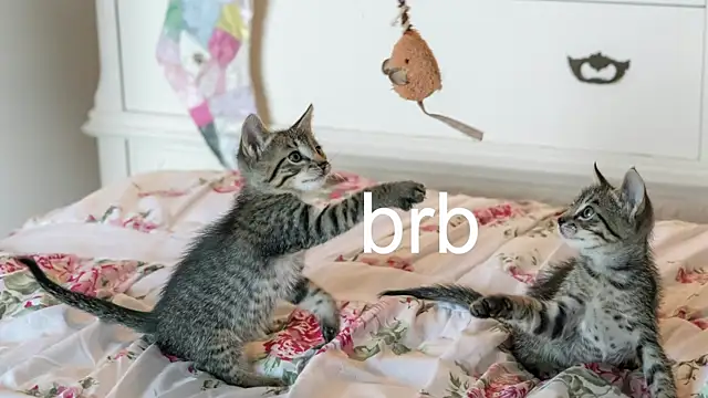 Pink girl0n online show from 17, 11, 2025