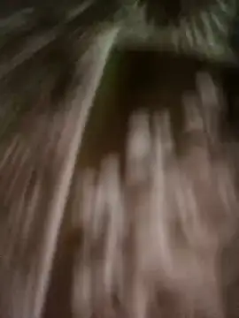 Snapshot of Love-pari08 chatting on 9, 11, 2025 Love-pari08 online show from 9, 11, 2025