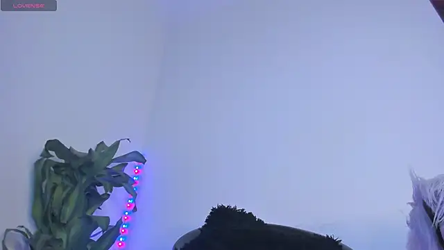 Lucy shen  online show from 7, 11, 2025