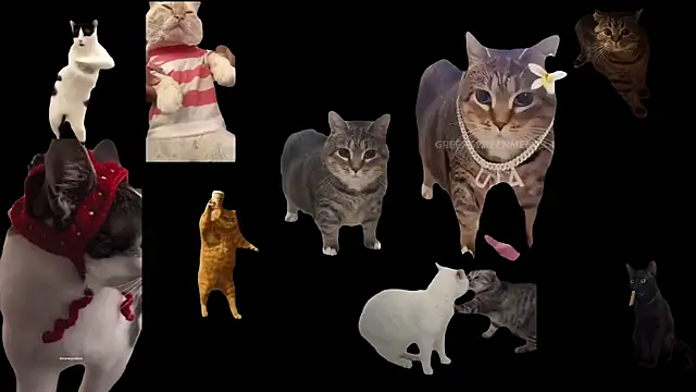 Snapshot of ch0wn_m chatting on 3, 10, 2025 ch0wn m online show from 3, 10, 2025