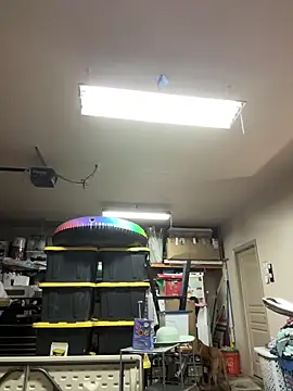 Snapshot of petalsexy chatting on 25, 9, 2025 petalsexy online show from 25, 9, 2025