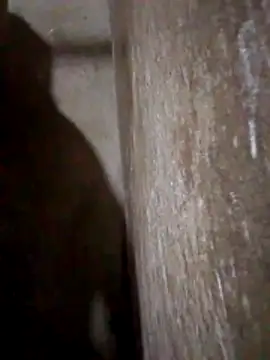 Lujor online show from 31, 3, 2026