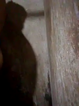 Lujor online show from 11, 4, 2026