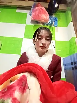 tdtd98 online show from 15, 12, 2025