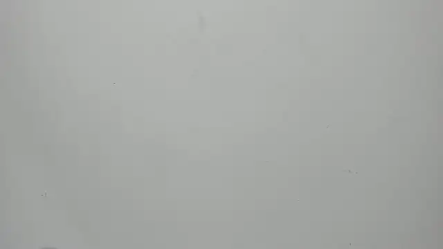 invincible200 online show from 15, 9, 2025