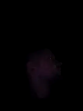 Mumuska online show from 3, 12, 2025