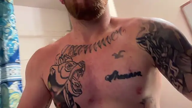 bearcub300 online show from 11, 1, 2026