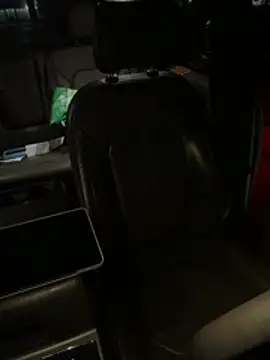 bearcub300 online show from 19, 1, 2026