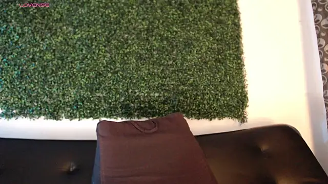 Snapshot of sam_ford_2 chatting on 6, 1, 2026 sam ford 2 online show from 6, 1, 2026