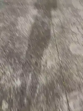 Snapshot of Foxfoxfox4 chatting on 28, 11, 2025 Foxfoxfox4 online show from 28, 11, 2025