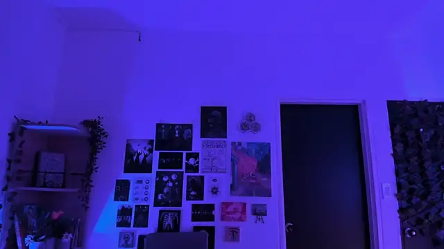 Lana Herondale online show from 2, 11, 2025