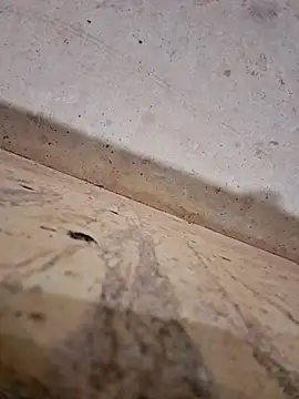 Snapshot of Negodabenga chatting on 14, 12, 2025 Negodabenga online show from 14, 12, 2025