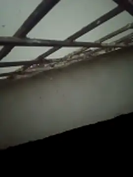 Daisygirl9 online show from 22, 10, 2025