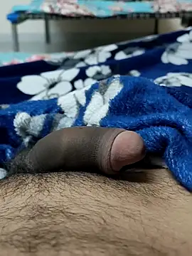 Snapshot of Bull54321 chatting on 15, 12, 2025 Bull54321 online show from 15, 12, 2025