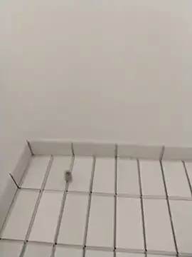 Snapshot of Ajayy01 chatting on 31, 10, 2025 Ajayy01 online show from 31, 10, 2025