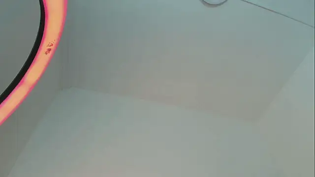 Snapshot of Dixie_grey1 chatting on 28, 2, 2026 Dixie grey1 online show from 28, 2, 2026