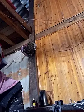 TinTin321 online show from 26, 11, 2025