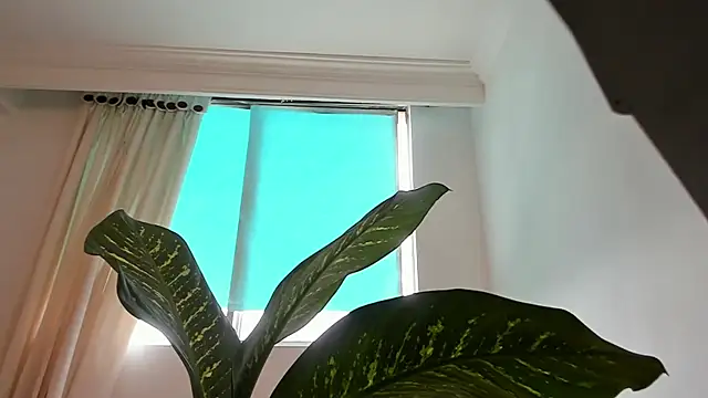 canelleGarces online show from 10, 2, 2026