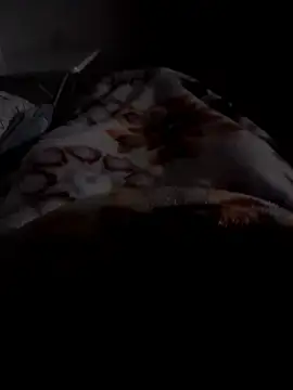 Snapshot of ratoncito_3 chatting on 12, 1, 2026 ratoncito 3 online show from 12, 1, 2026