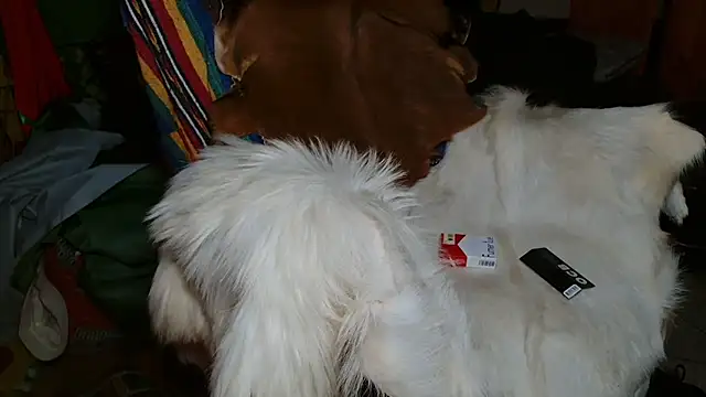 JUSTFORRICH online show from 8, 1, 2026