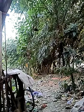 Hotty-rosni online show from 27, 11, 2025