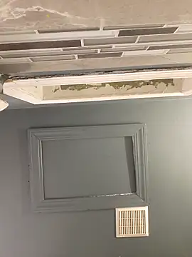 chocolate bella online show from 11, 10, 2025