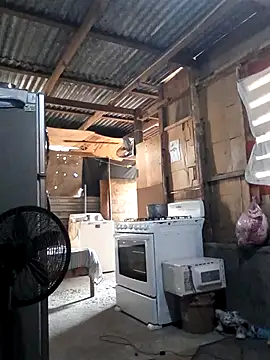 Steehood online show from 20, 11, 2025