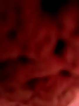 Gusttavotesudoxxvvc online show from 18, 9, 2025