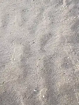 sarahkat86 online show from 5, 11, 2025