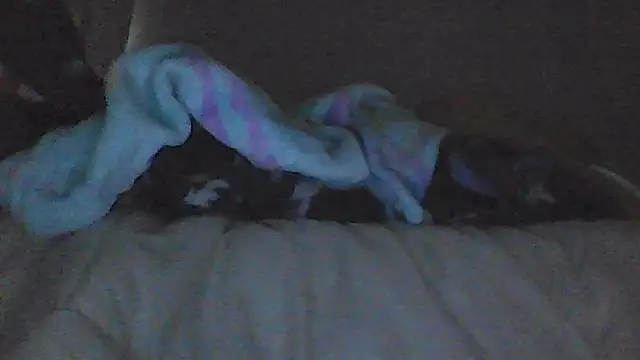 sarahkat86 online show from 22, 3, 2026