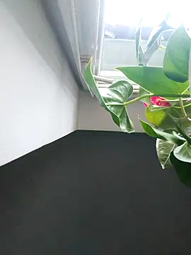 Snapshot of Czarnoksieznik chatting on 2, 11, 2025 Czarnoksieznik online show from 2, 11, 2025