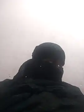 amolicars online show from 3, 12, 2025