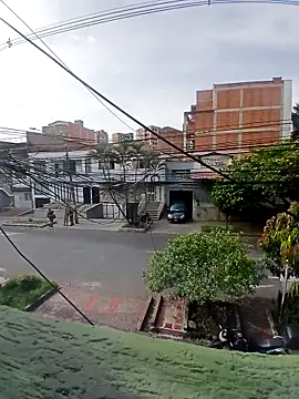 Alani Queen online show from 16, 9, 2025